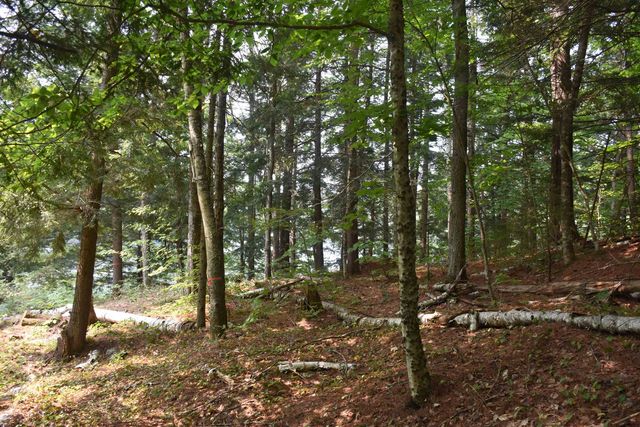 195 Meadow Lane, Woodbury, VT 05681