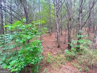49 Iron Mountain Road NW, Adairsville, GA 30103