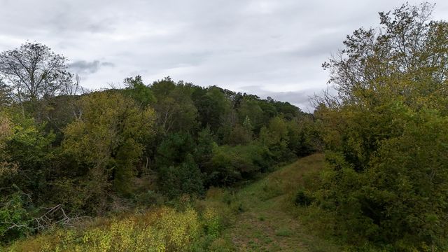 0 Greenwood Road, Ringgold, GA 30736