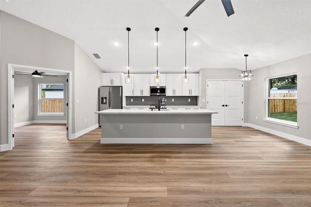 225 HILLSIDE AVENUE, Umatilla, FL 32784