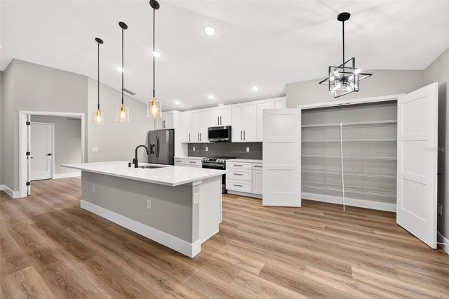 225 HILLSIDE AVENUE, Umatilla, FL 32784