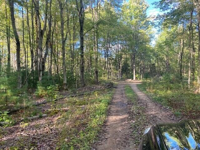 2756 County RT 55 Brasher, Lot 3, Brasher Falls, NY 13613
