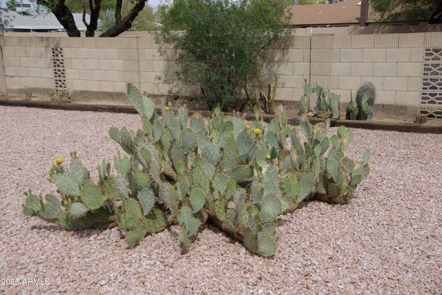 11643 S IROQUOIS Drive, Phoenix, AZ 85044