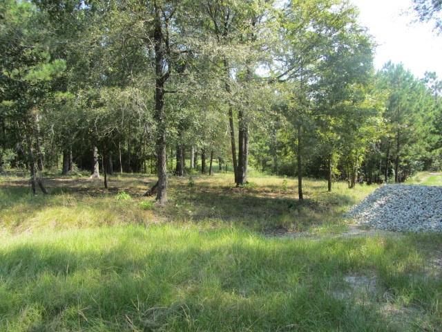 TBD Tx-19, Huntsville, TX 77320