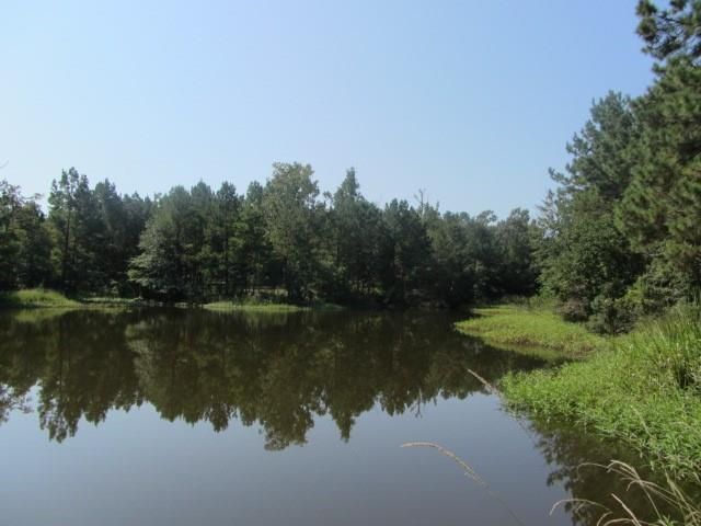 TBD Tx-19, Huntsville, TX 77320
