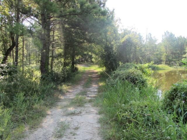TBD Tx-19, Huntsville, TX 77320