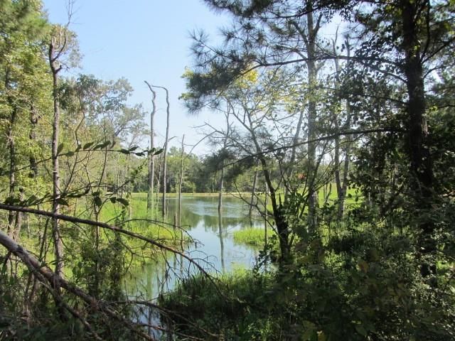 TBD Tx-19, Huntsville, TX 77320
