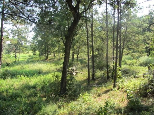 TBD Tx-19, Huntsville, TX 77320