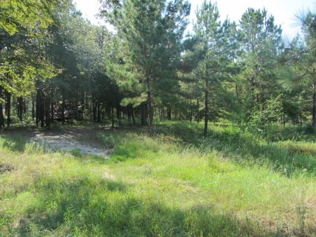 TBD Tx-19, Huntsville, TX 77320