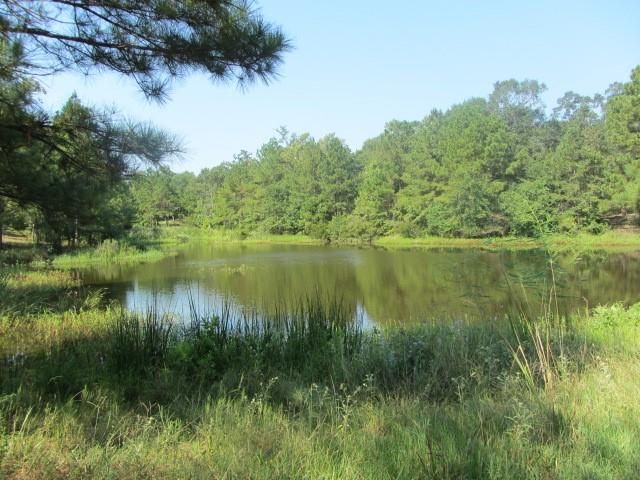 TBD Tx-19, Huntsville, TX 77320