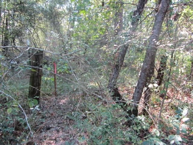 TBD Tx-19, Huntsville, TX 77320