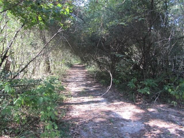 TBD Tx-19, Huntsville, TX 77320
