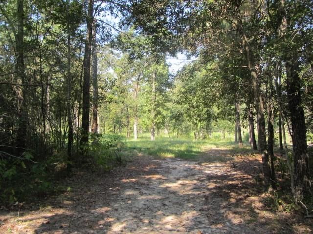 TBD Tx-19, Huntsville, TX 77320