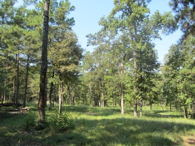 TBD Tx-19, Huntsville, TX 77320
