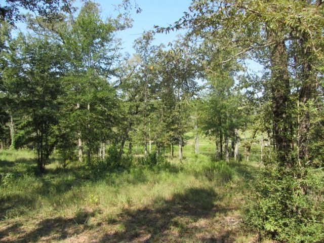 TBD Tx-19, Huntsville, TX 77320