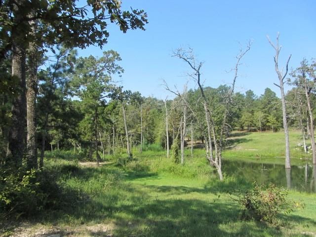 TBD Tx-19, Huntsville, TX 77320