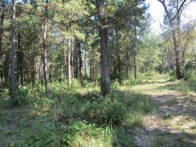 TBD Tx-19, Huntsville, TX 77320