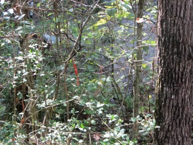 TBD Tx-19, Huntsville, TX 77320
