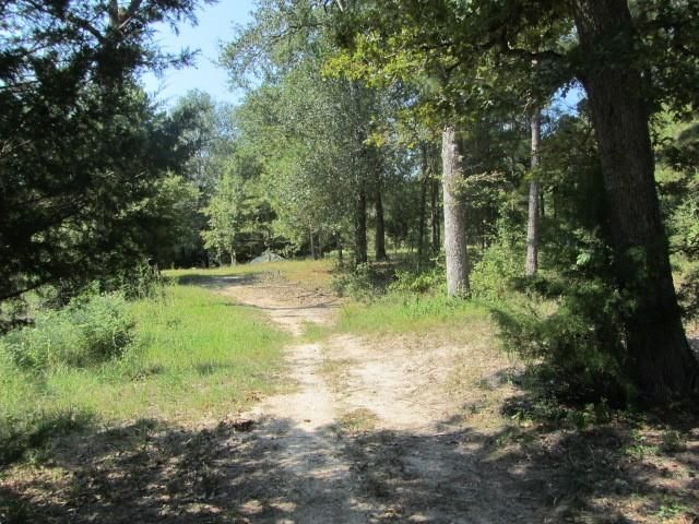 TBD Tx-19, Huntsville, TX 77320