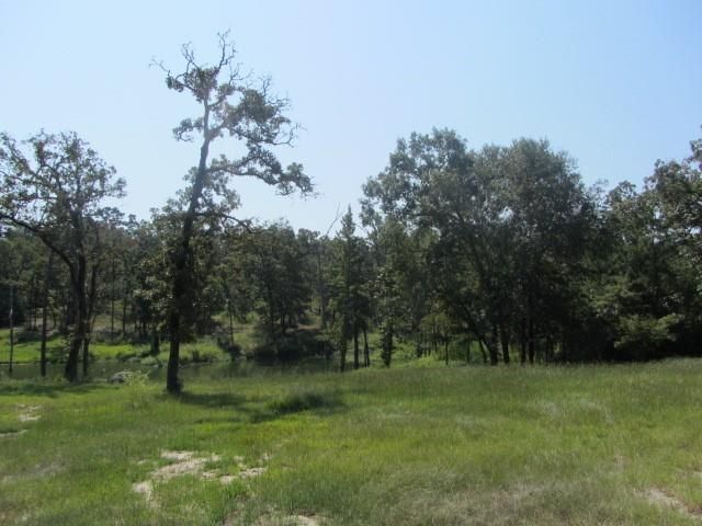TBD Tx-19, Huntsville, TX 77320