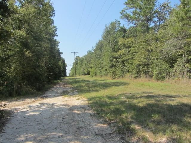 TBD Tx-19, Huntsville, TX 77320