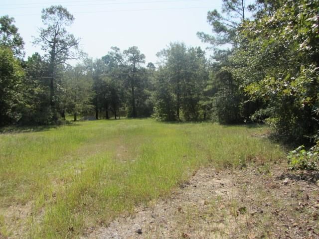TBD Tx-19, Huntsville, TX 77320