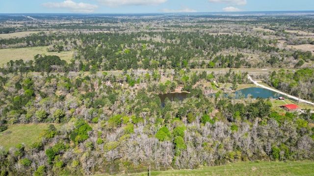 TBD Tx-19, Huntsville, TX 77320