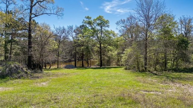 TBD Tx-19, Huntsville, TX 77320