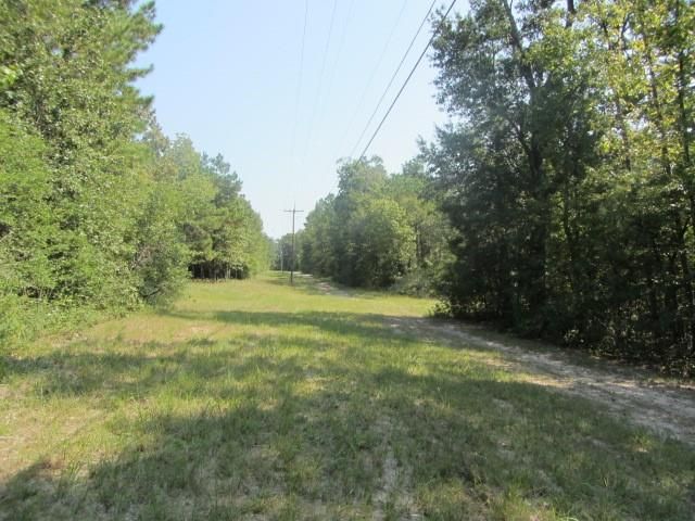 TBD Tx-19, Huntsville, TX 77320