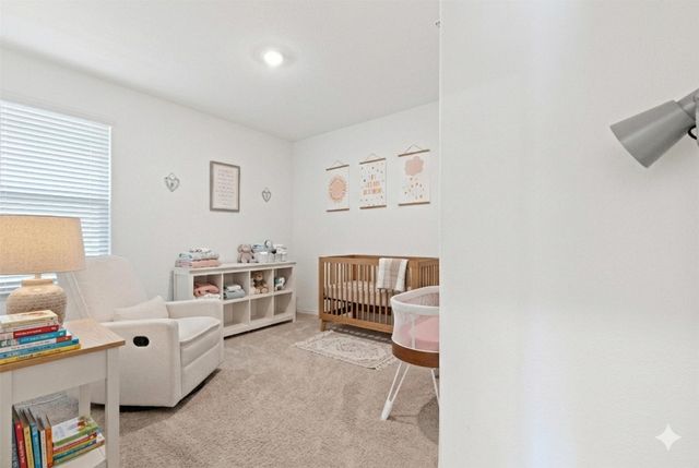 8308 Caracara Court, Mckinney, TX 75071