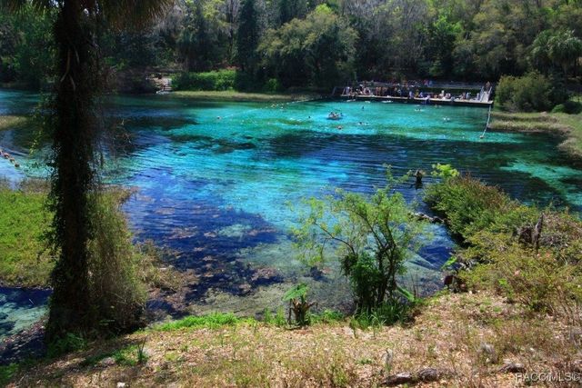 1206 W Skyview Crossing Drive, Hernando, FL 34442