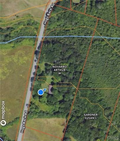 679 Hog Back Road, Albion, NY 13302