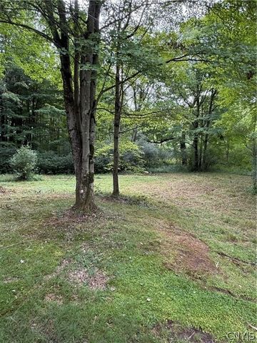 679 Hog Back Road, Albion, NY 13302