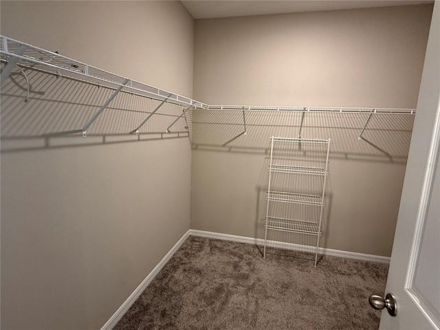 14050 FRASIER STREET, Winter Garden, FL 34787