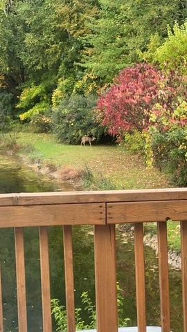 1674 W 104th Street, Ashland Twp, MI 49327