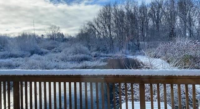 1674 W 104th Street, Ashland Twp, MI 49327