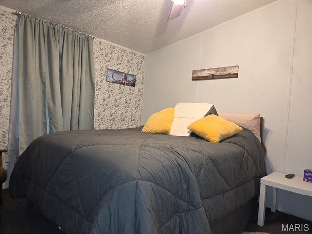 377 South Oak, Wappapello, MO 63966