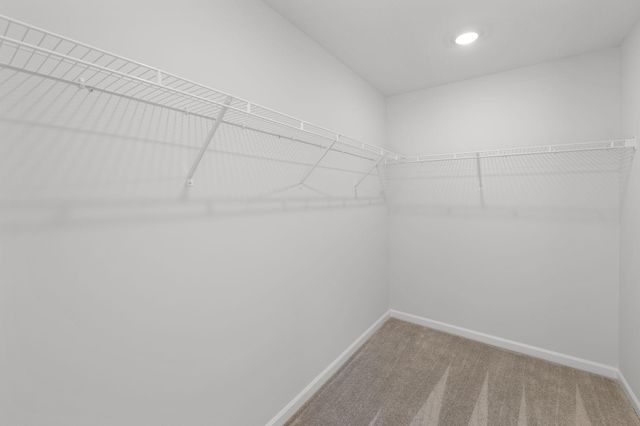 1003 130th Court E, Rosemount, MN 55068