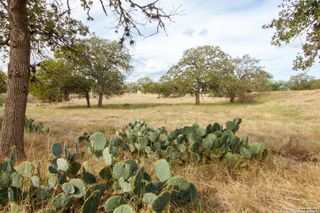 455 HUBBLE LN, Medina, TX 78055