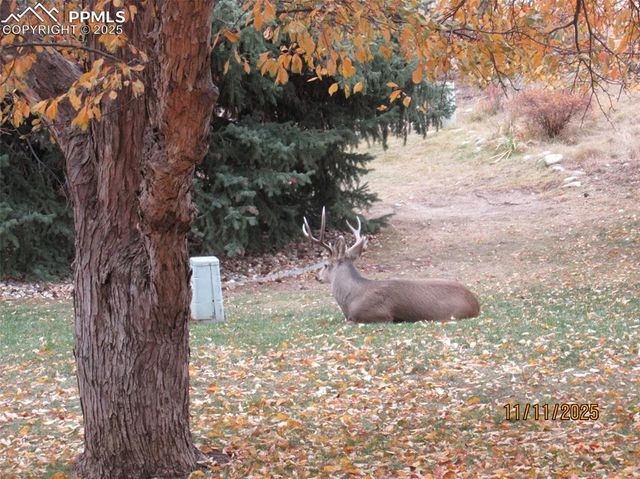 290 Cobblestone Drive, Colorado Springs, CO 80906