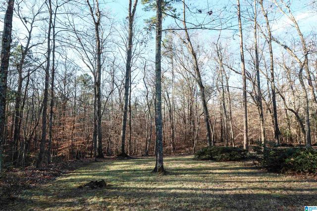 156 HILLABEE OUTBACK, Oxford, AL 36203