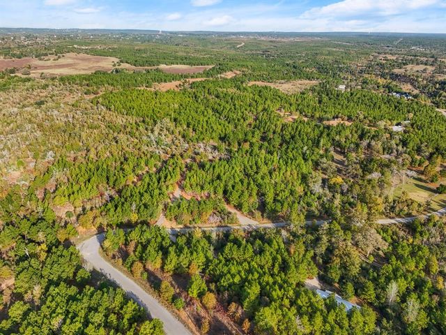 TBD Winfield Thicket RD, Smithville, TX 78602