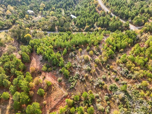 TBD Winfield Thicket RD, Smithville, TX 78602