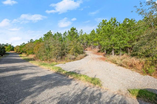 TBD Winfield Thicket RD, Smithville, TX 78602