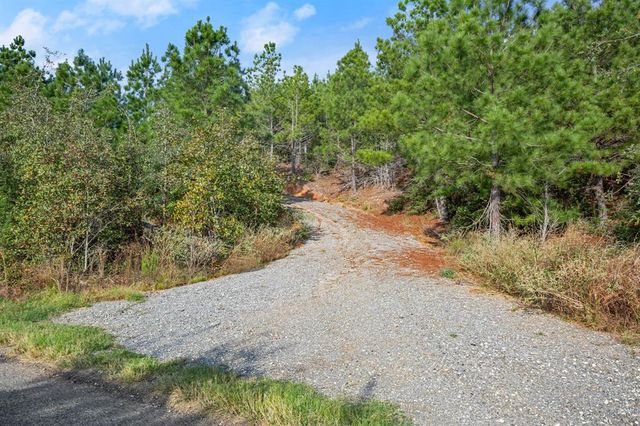 TBD Winfield Thicket RD, Smithville, TX 78602