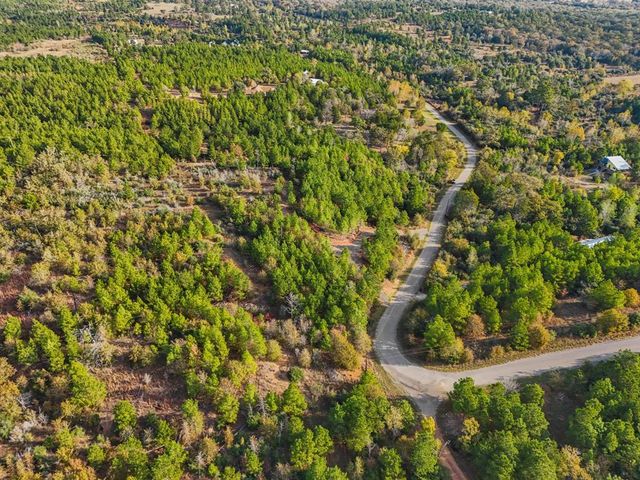 TBD Winfield Thicket RD, Smithville, TX 78602
