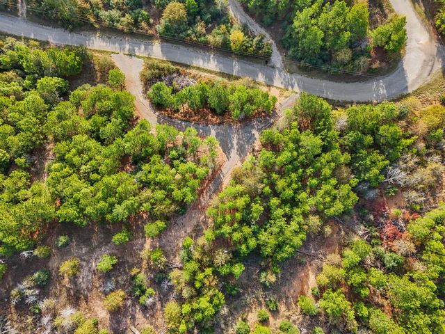 TBD Winfield Thicket RD, Smithville, TX 78602