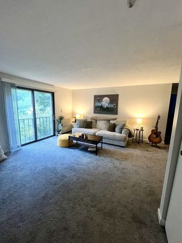 15 Village Hill Lane 12, Natick, MA 01760