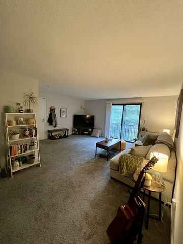 15 Village Hill Lane 12, Natick, MA 01760