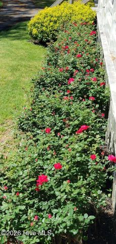 2639 Nc Highway 211, Clarkton, NC 28433